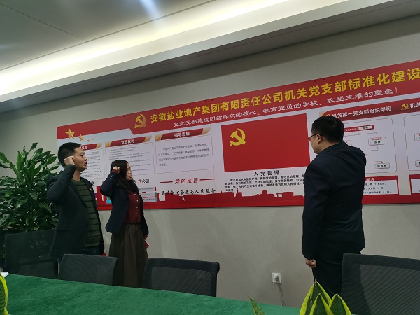 安徽鹽業(yè)地產(chǎn)集團(tuán)機(jī)關(guān)第一黨支部開展“佩黨徽、誦誓詞、贈(zèng)黨章、上黨課”黨員教育活動(dòng)