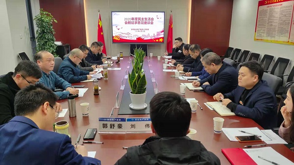 安徽鹽業(yè)地產(chǎn)集團公司黨委召開2020年度民主生活會前征求意見座談會