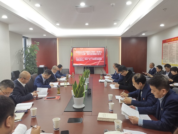 安徽鹽業(yè)地產(chǎn)集團公司開展新一輪深化“三個以案”警示教育集中學習
