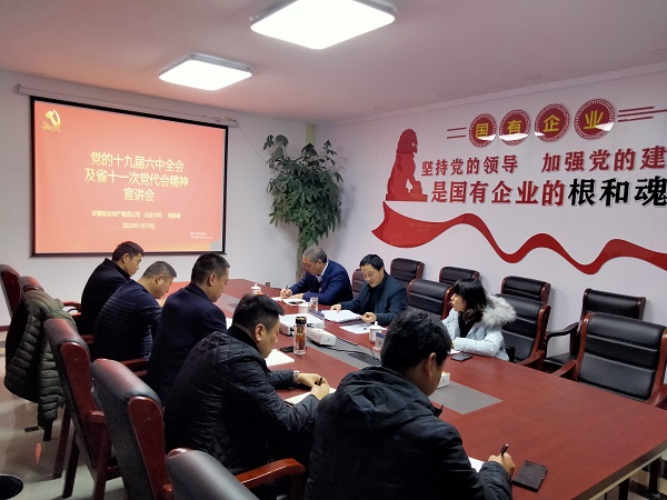 徽鹽地產(chǎn)公司總會(huì)計(jì)師楊蔚峰到泗縣項(xiàng)目公司宣講十九屆六中全會(huì)及省十一次黨代會(huì)精神